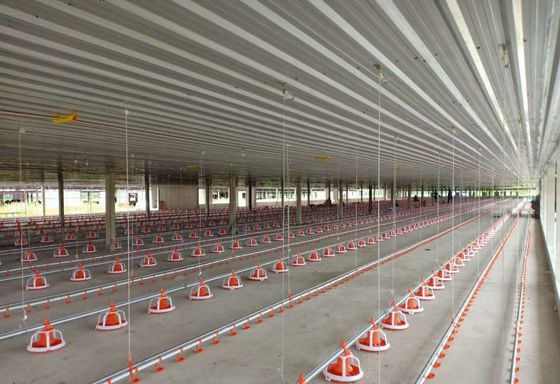 Pan Feeding SS304 3.5m Broiler House Equipment For Chicken