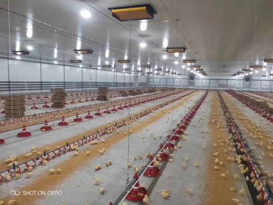 Automatic Duck Steel 12mm Poultry Farm House