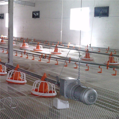 Full Set Drinker Line chicken farm building Automatic Poultry Nipple Drinking System For Chickens