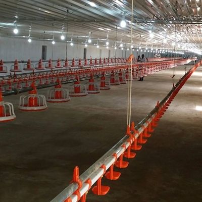 22x22mm Broiler Breeder Chicken Nipple Drinker System