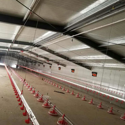 Automatic Pan Feeding System Poultry Farm Equipment