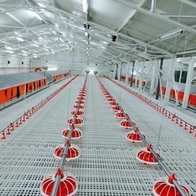 Durable Chicken Duckling Poultry Slat Flooring