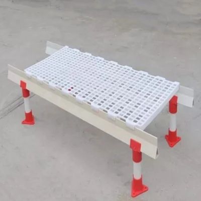 Durable Chicken Duckling Poultry Slat Flooring