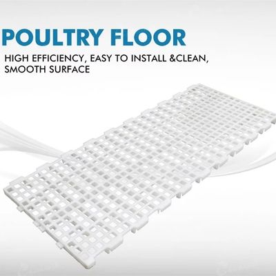Durable Chicken Duckling Poultry Slat Flooring