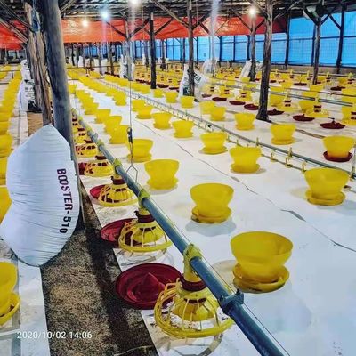 Poultry Farm Automatic Chicken Drinkers And Feeders