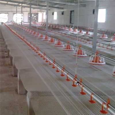 Poultry Farm Automatic Chicken Drinkers And Feeders