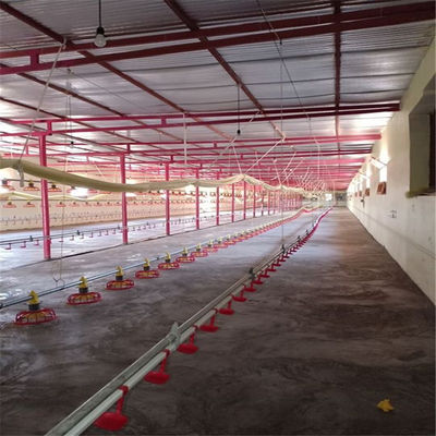 Poultry Farm Automatic Chicken Drinkers And Feeders