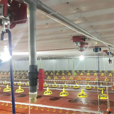 Poultry Farm Automatic Chicken Drinkers And Feeders