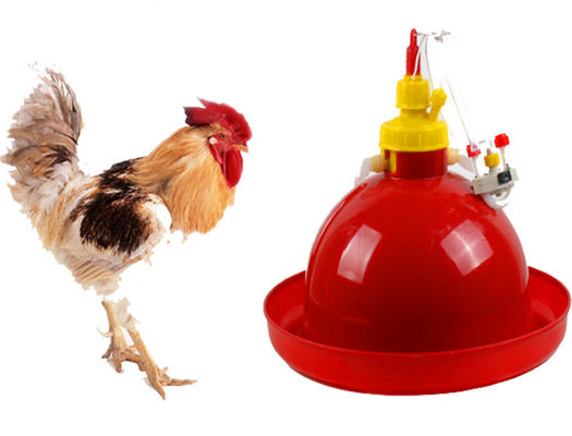 360 Degree Automatic Chicken Drinkers And Feeders For Birds