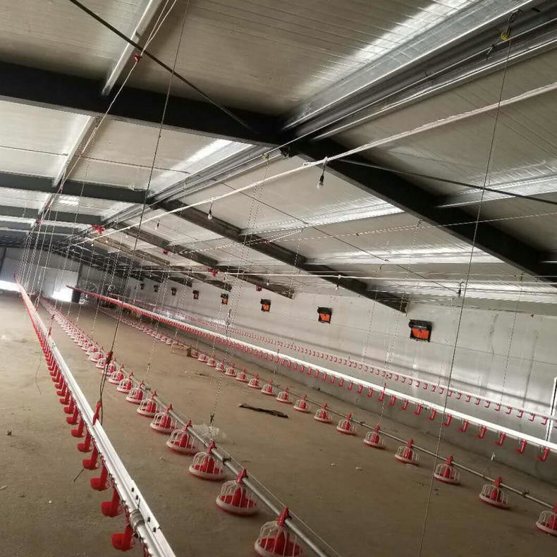 Automatic Pan Feeding System Poultry Farm Equipment