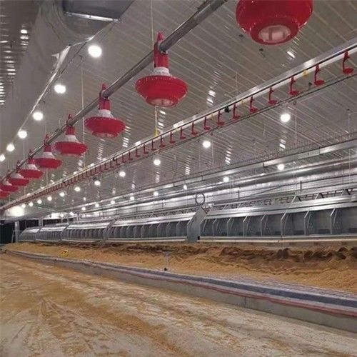 90 Degree Chain Automatic Pan Feeding System