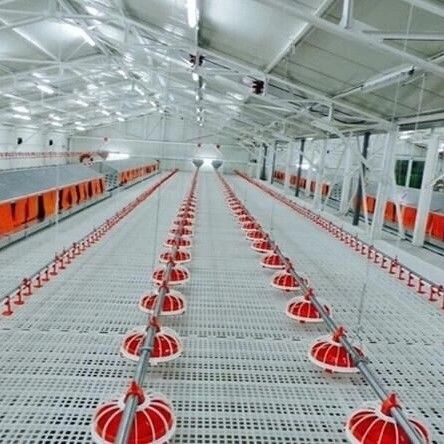 Durable Chicken Duckling Poultry Slat Flooring