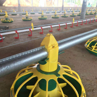 Sistem Pakan Pan Ayam Auger Ayam Broiler Otomatis Sistem Minum Air Ayam