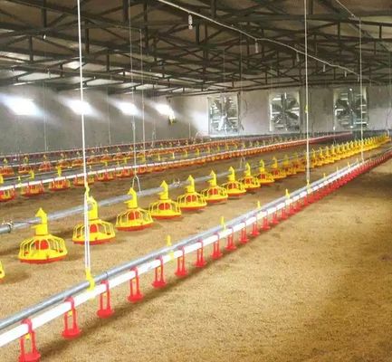 Sistem Pengumpanan Pan Otomatis Saluran Air Peralatan Minum Puting Unggas Ayam