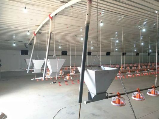 Sistem Pengumpanan Pan Otomatis Rantai Peternakan Ayam 1 Fase